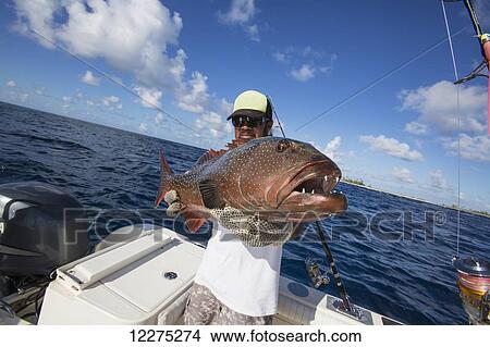 Fisherman holding a fresh caught Grouper; Tahiti View Large Photo Image Picture - Fisherman holding a fresh caught Grouper; Tahiti. Fotosearch