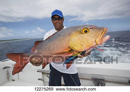 Stock Photo - Fisherman holding a fresh caught Red Snapper (Lutjanus); Tahiti. Fotosearch
