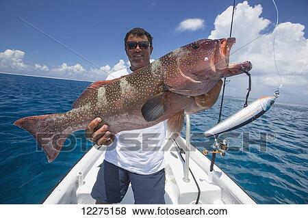 Fisherman holding a fresh caught Grouper fish; Tahiti View Large Photo Image Stock Photo - Fisherman holding a fresh caught Grouper fish; Tahiti. Fotosearch