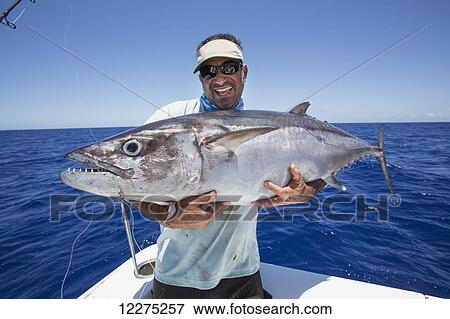 Fisherman holding a fresh caught Dogtooth Tuna (Gymnosarda unicolor); Tahiti View Large Photo Image Stock Photo - Fisherman holding a fresh caught Dogtooth Tuna (Gymnosarda unicolor); Tahiti. Fotosearch