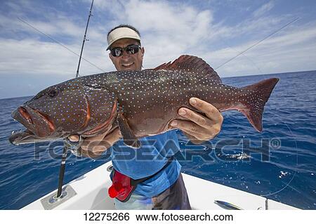 Stock Photograph - Fisherman holding a fresh caught Grouper (Epinephelinae); Tahiti. Fotosearch