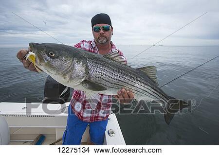 Picture - Fisherman holding striper fish in the Boston harbour; Boston, Massachusetts, United States of America. Fotosearch