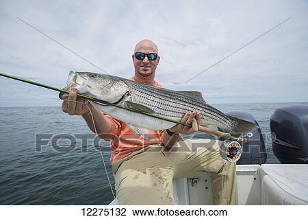 Stock Image - Fisherman holding striper fish in the Boston harbour; Boston, Massachusetts, United States of America. Fotosearch