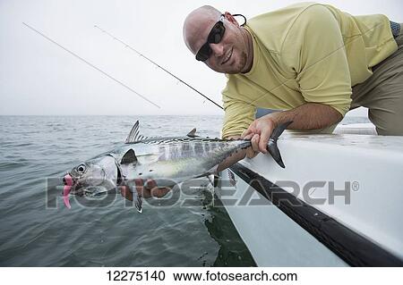 Stock Image - Fisherman holds false albacore; Cape Cod, Massachusetts, United States of America. Fotosearch