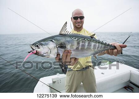 Fisherman holds false albacore; Cape Cod, Massachusetts, United States of America View Large Photo Image Stock Photo - Fisherman holds false albacore; Cape Cod, Massachusetts, United States of America. Fotosearch