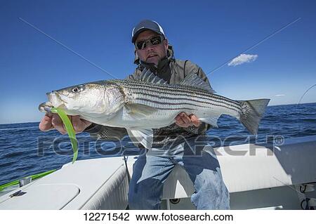 Fisherman with a large fresh catch; Massachusetts, United States of America View Large Photo Image Stock Image - Fisherman with a large fresh catch; Massachusetts, United States of America. Fotosearch