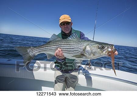 Stock Image - Fisherman with a large fresh catch; Massachusetts, United States of America. Fotosearch