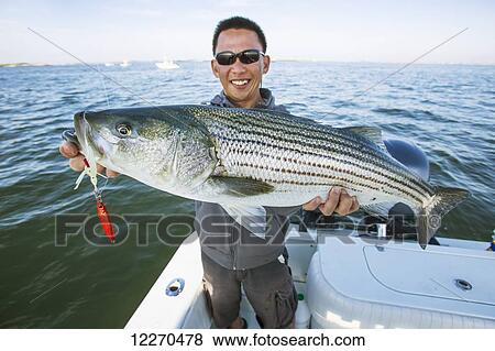 Fishing for stripers in the Boston harbour; Boston, Massachusetts, United States of America View Large Photo Image Stock Photo - Fishing for stripers in the Boston harbour; Boston, Massachusetts, United States of America. Fotosearch