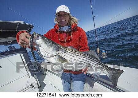 Fishing with a large fresh catch; Massachusetts, United States of America View Large Photo Image Stock Image - Fishing with a large fresh catch; Massachusetts, United States of America. Fotosearch