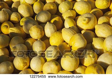 Stock Photography - Freshly picked lemons ready to be shipped; Salinas, California, United States of America. Fotosearch