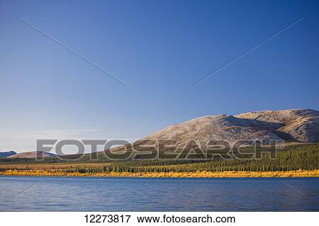 Golden grasses and green evergreen trees line the hills surrounding the Noatak River as it passes through the Igichuk Hills before emptying into Kotzebue Sound; Noatak, Alaska, United States of America View Large Photo Image Stock Photo - Golden grasses and green evergreen trees line the hills surrounding the Noatak River as it passes through the Igichuk Hills before emptying into Kotzebue Sound; Noatak, Alaska, United States of America. Fotosearch