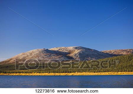 Golden grasses and green evergreen trees line the hills surrounding the Noatak River as it passes through the Igichuk Hills before emptying into Kotzebue Sound; Noatak, Alaska, United States of America View Large Photo Image Stock Photograph - Golden grasses and green evergreen trees line the hills surrounding the Noatak River as it passes through the Igichuk Hills before emptying into Kotzebue Sound; Noatak, Alaska, United States of America. Fotosearch