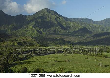Hanalei Valley and Valley walls; Kauai, Hawaii, United States of America View Large Photo Image Stock Photography - Hanalei Valley and Valley walls; Kauai, Hawaii, United States of America. Fotosearch