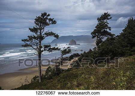 Haystack Rock and Tillamook Head, coastal landmarks; Tolovana, Oregon, United States of America View Large Photo Image Stock Photo - Haystack Rock and Tillamook Head, coastal landmarks; Tolovana, Oregon, United States of America. Fotosearch