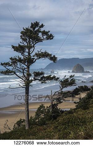 Stock Photo - Haystack Rock and Tillamook Head, coastal landmarks; Tolovana, Oregon, United States of America. Fotosearch