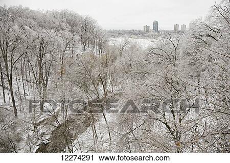 Hoar frost on the trees in winter with tall buildings in the distance View Large Photo Image Stock Image - Hoar frost on the trees in winter with tall buildings in the distance. Fotosearch