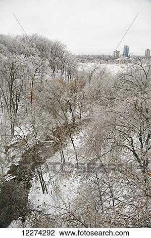 Hoar frost on the trees in winter with tall buildings in the distance View Large Photo Image Stock Image - Hoar frost on the trees in winter with tall buildings in the distance. Fotosearch