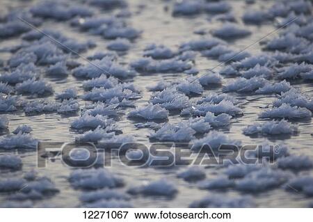 Ice crystals on the ice; Churchill, Manitoba, Canada View Large Photo Image Stock Photo - Ice crystals on the ice; Churchill, Manitoba, Canada. Fotosearch
