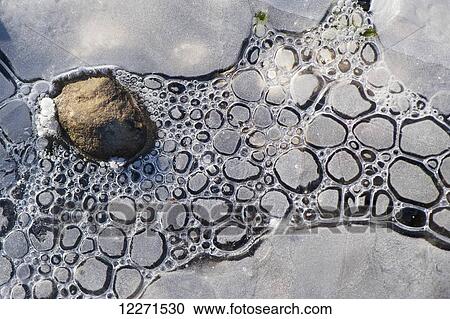Stock Image - Ice formed around stones at the edge of a lake; Yorkshire, England. Fotosearch