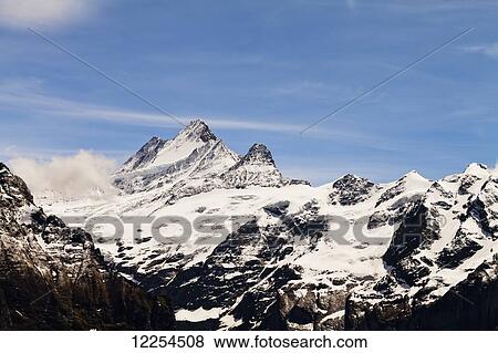 Jungfrau; Grindelwald, Bernese Oberland, Switzerland View Large Photo Image Stock Photo - Jungfrau; Grindelwald, Bernese Oberland, Switzerland. Fotosearch