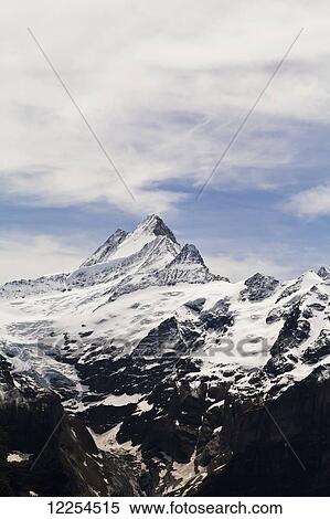 Stock Photography - Jungfrau; Grindelwald, Bernese Oberland, Switzerland. Fotosearch