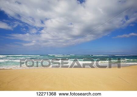 Kaena State Park; Oahu, Hawaii, United States of America View Large Photo Image Stock Photo - Kaena State Park; Oahu, Hawaii, United States of America. Fotosearch