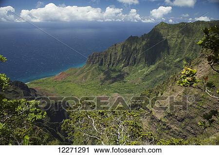 Kalalau Valley, Na Pali Coast from Kalalau Valley lookout in Kokee State Park; Kauai, Hawaii, United States of America View Large Photo Image Stock Image - Kalalau Valley, Na Pali Coast from Kalalau Valley lookout in Kokee State Park; Kauai, Hawaii, United States of America. Fotosearch