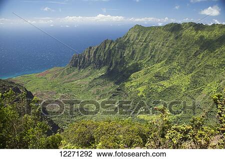 Stock Image - Kalalau Valley, Na Pali Coast from Kalalau Valley lookout in Kokee State Park; Kauai, Hawaii, United States of America. Fotosearch