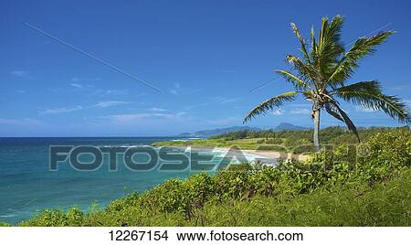 Kealia Beach; Kauai, Hawaii, United States of America View Large Photo Image Picture - Kealia Beach; Kauai, Hawaii, United States of America. Fotosearch