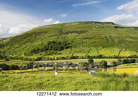 Stock Image - Kisdon Hill, Swaledale, with the hamlet of Thwaite at its foot; Yorkshire, England. Fotosearch