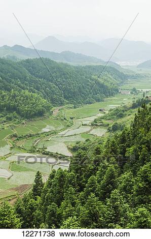 Stock Photo - Landscape of rice fields from a small village near to Wuyuan; Jiangxi province, China. Fotosearch