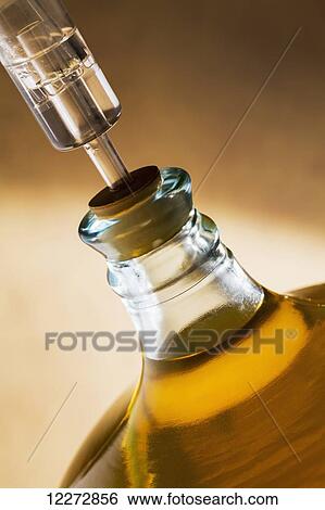 Stock Photograph - Large glass vessel full of white wine and corked with a water air lock; Calgary, Alberta, Canada. Fotosearch