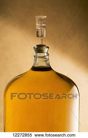 Stock Photography - Large glass vessel full of white wine and corked with a water air lock; Calgary, Alberta, Canada. Fotosearch