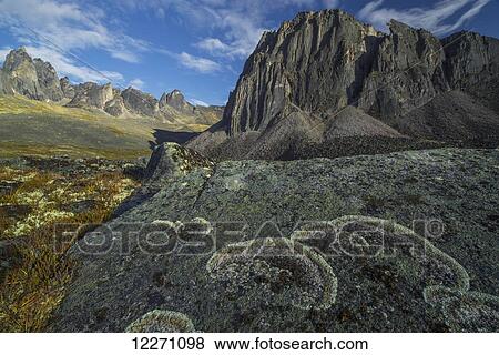 Lichen covers a rock in unique patterns while large granite peaks rise above the tundra of Tombstone territorial Park; Yukon, Canada View Large Photo Image Stock Photo - Lichen covers a rock in unique patterns while large granite peaks rise above the tundra of Tombstone territorial Park; Yukon, Canada. Fotosearch