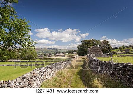 Looking down Shaws Lane towards Burtersett, near Hawes; Wensleydale, Yorkshire, England View Large Photo Image Stock Image - Looking down Shaws Lane towards Burtersett, near Hawes; Wensleydale, Yorkshire, England. Fotosearch