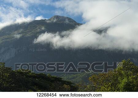 Picture - Looking through forest to the ridge of Mount Mulanje; Malawi. Fotosearch