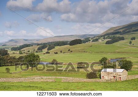 Stock Image - Looking up Wensleydale near Hawes in the Yorkshire Dales National Park; North Yorkshire, England. Fotosearch