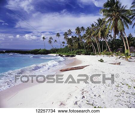 Picture - Most Westerly point of Savaii; Savaii Island, Samoa. Fotosearch