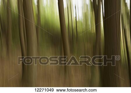 Stock Photo - Motion blur of trees; Ontario, Canada. Fotosearch