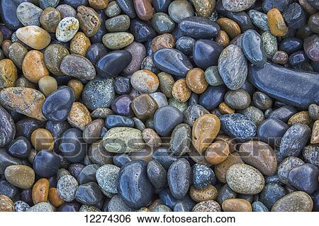 Multi-coloured rocks line the shoreline at Agate Beach, Naikoon Provincial Park; Haida Gwaii, British Columbia, Canada View Large Photo Image Stock Photograph - Multi-coloured rocks line the shoreline at Agate Beach, Naikoon Provincial Park; Haida Gwaii, British Columbia, Canada. Fotosearch
