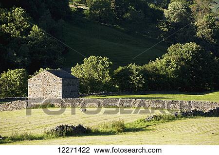 Newly mowed meadows and field barn near Muker, Swaledale; Yorkshire, England View Large Photo Image Stock Image - Newly mowed meadows and field barn near Muker, Swaledale; Yorkshire, England. Fotosearch