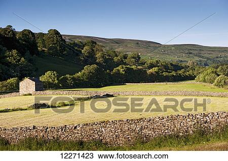 Stock Image - Newly mowed meadows and field barn near Muker, Swaledale; Yorkshire, England. Fotosearch