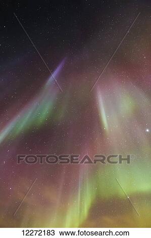 Northern Lights dance in clear skies above Barrow, Arctic Alaska; Alaska, United States of America View Large Photo Image Stock Image - Northern Lights dance in clear skies above Barrow, Arctic Alaska; Alaska, United States of America. Fotosearch