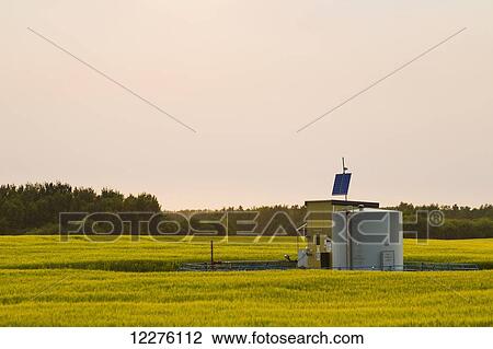 Oil field storage tank and pump station of pipeline in canola field; St. Albert, Alberta, Canada View Large Photo Image Stock Image - Oil field storage tank and pump station of pipeline in canola field; St. Albert, Alberta, Canada. Fotosearch
