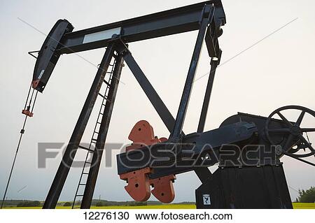 Stock Image - Oil pumpjack at work on oilfield lease in a canola field in rural Alberta; St. Albert, Alberta, Canada. Fotosearch