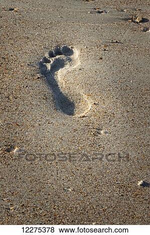 Stock Photo - One footprint in the sand; United States of America. Fotosearch