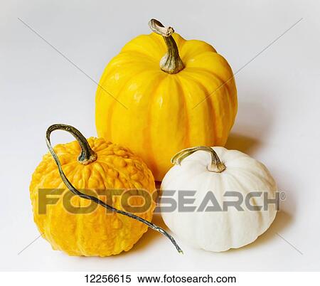 Orange and yellow pumpkin and a squash on a white background View Large Photo Image Stock Photography - Orange and yellow pumpkin and a squash on a white background. Fotosearch