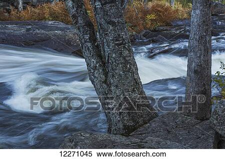 Oxtounge River Rapids, near Huntsville; Ontario, Ontario, Canada View Large Photo Image Stock Photography - Oxtounge River Rapids, near Huntsville; Ontario, Ontario, Canada. Fotosearch