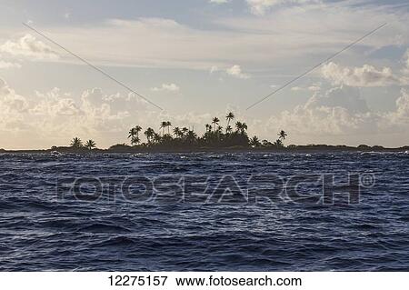 Palm trees along the coastline of a tropical island; Tahiti View Large Photo Image Stock Photo - Palm trees along the coastline of a tropical island; Tahiti. Fotosearch