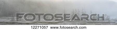 Stock Photo - Panoramic view of early morning mist over a small pond along the Rock Lake Road, Algonquin Park; Ontario, Canada. Fotosearch